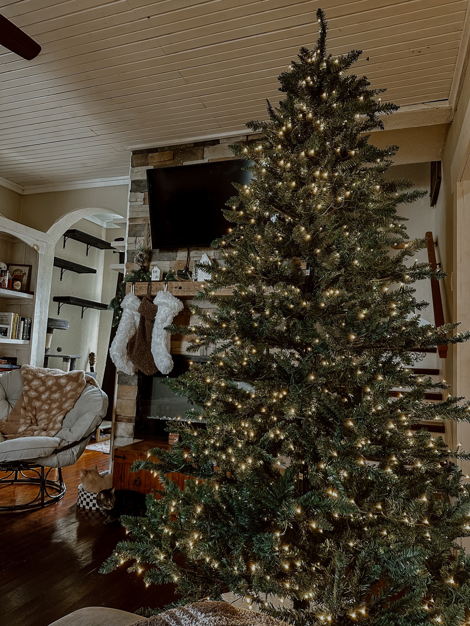 VIRAL WALMART TREE @walmart #walmart #walmarthome the absolute IT tree of the year! 7.5 pre lit tree the EASIEST set up and minimal fluffing. Gorgeous micro-dot lights with 1200 lights. Multiple light settings including slow twinkle fade! Under $200! 

#LTKHoliday #LTKSeasonal #LTKHolidaySale