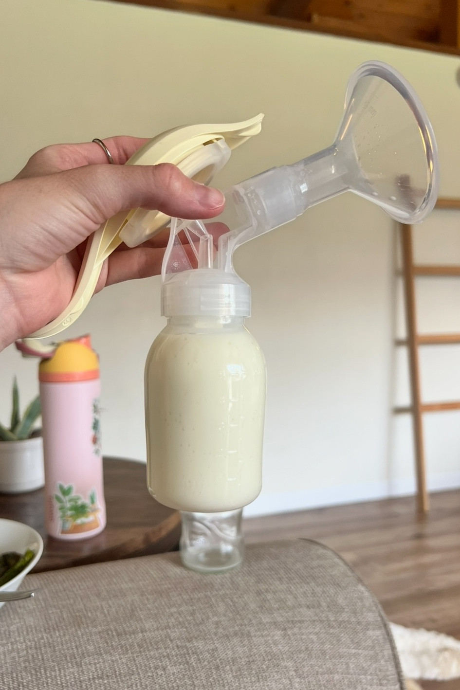 Me 🤝 my hand pump🍼 
Make sure you ask for a pumping kit when you give birth and you’ll get one of these for free at the hospital! 
#handpump #breastfeeding 