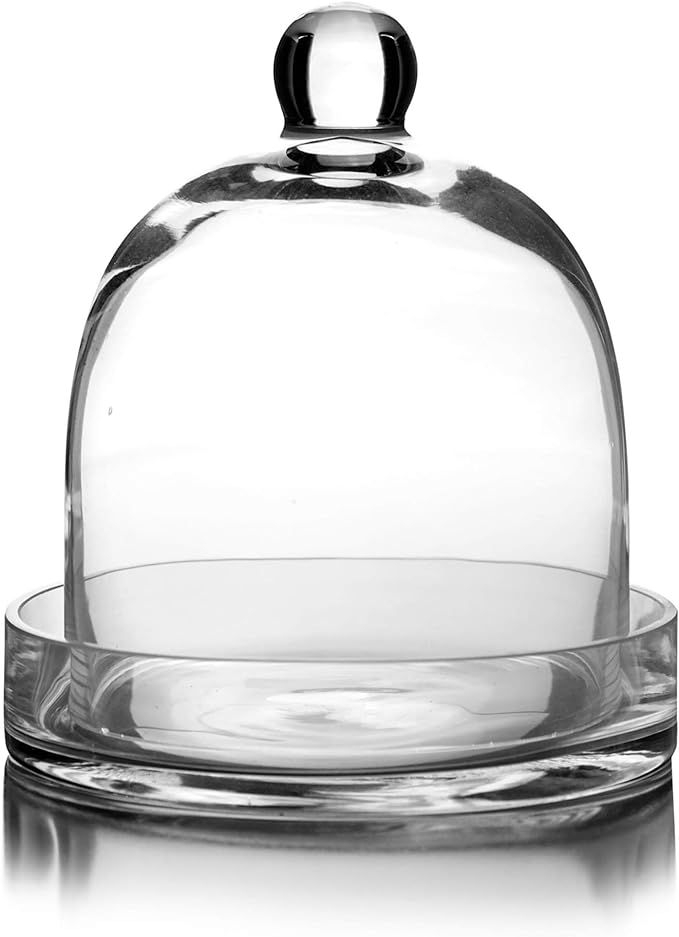 CYS EXCEL Bell Dome Cloche with Glass Base (H:8" W:7") | Multiple Size Choices Terrarium Jar Plan... | Amazon (US)