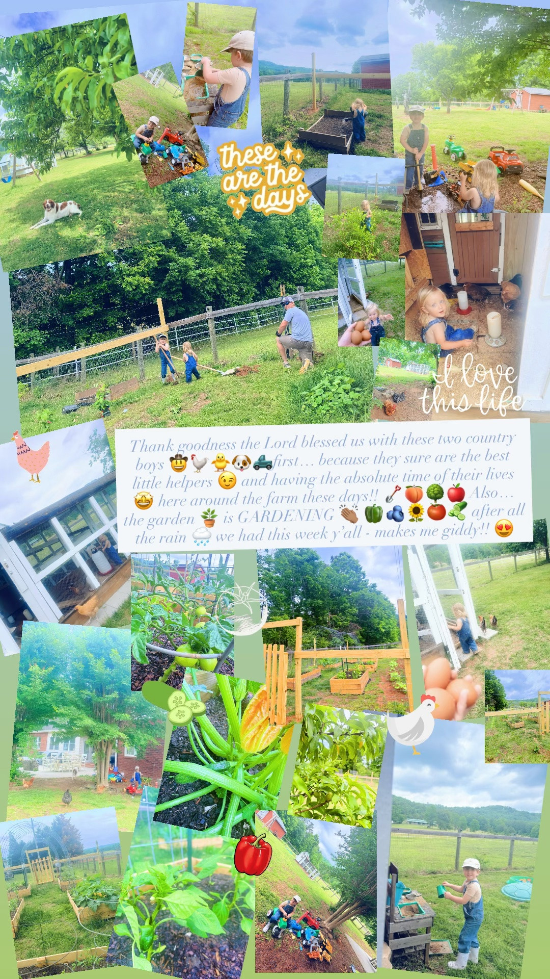 Thank goodness the Lord blessed us with these two country boys 🤠🐓🐥🐶🛻first… because they sure are the best little helpers 😉 and having the absolute time of their lives 🤩 here around the farm these days!! 🪏🍑🌳🍎 Also… the garden 🪴 is GARDENING 👏🏽 🫑🫐🌻🍅🥒 after all the rain 🌧️ we had this week y’all - makes me giddy!! 😍