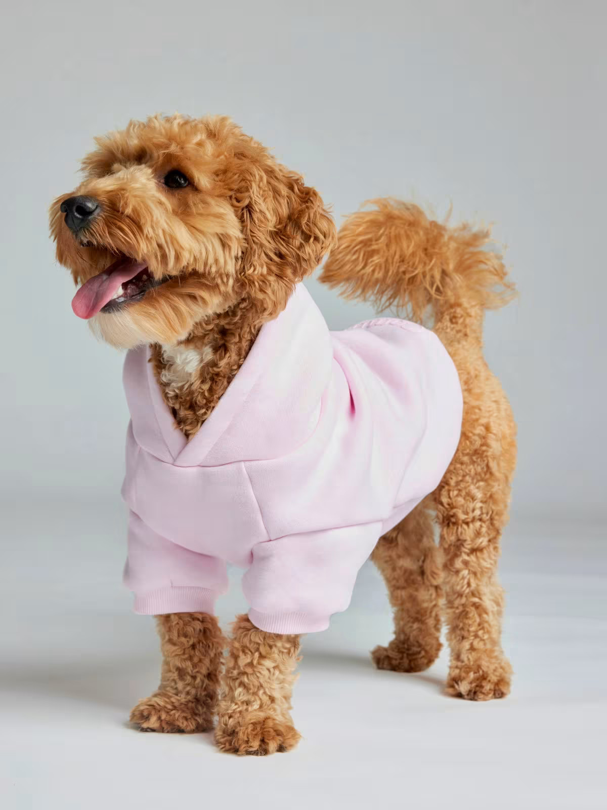 Up to 70% OFF SitewideEarly Black Friday DealsFree Shipping on 2+ ItemsUp to 70% OFF SitewideEarl... | Comfrt