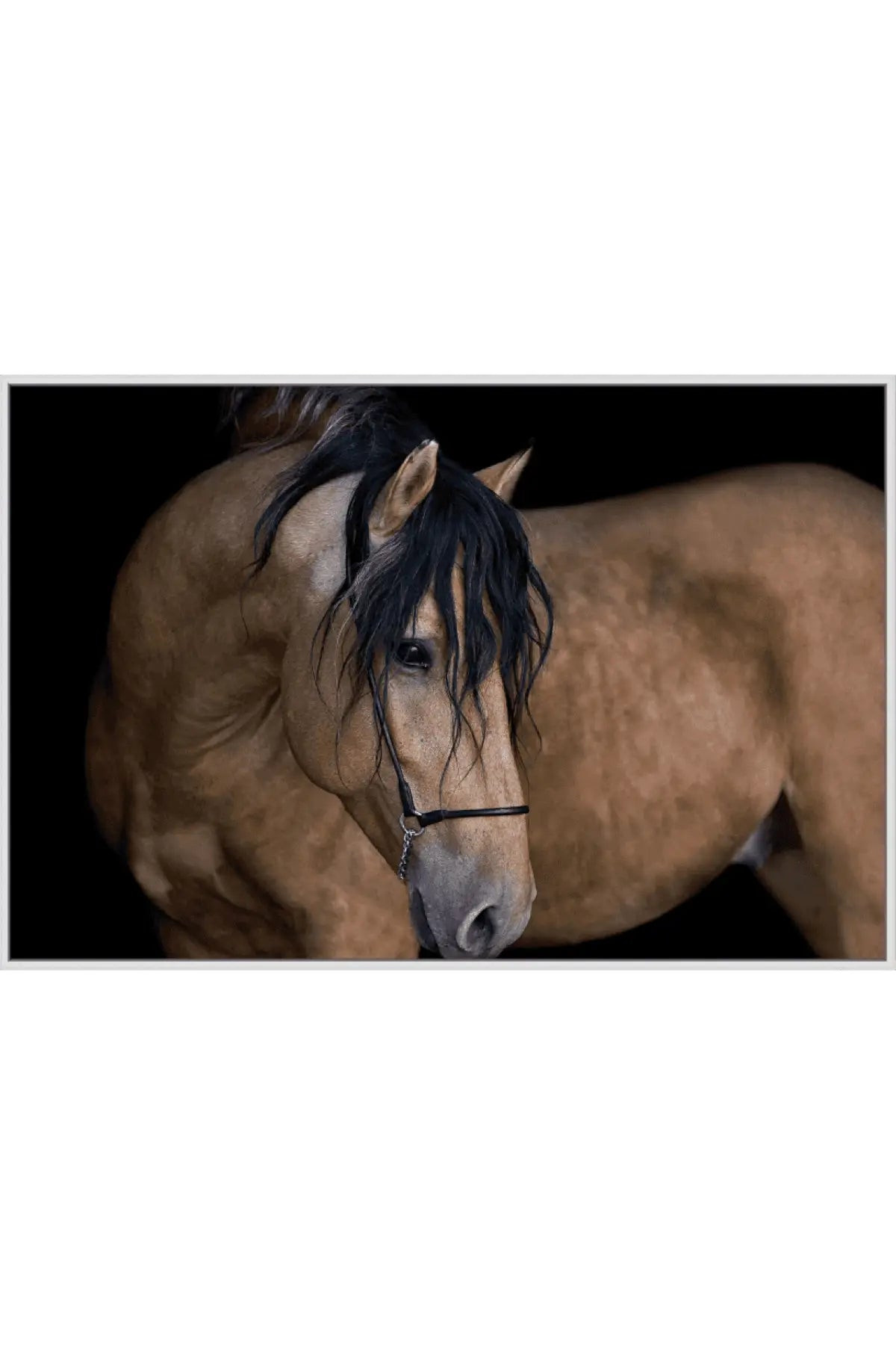 Harkness | THELIFESTYLEDCO