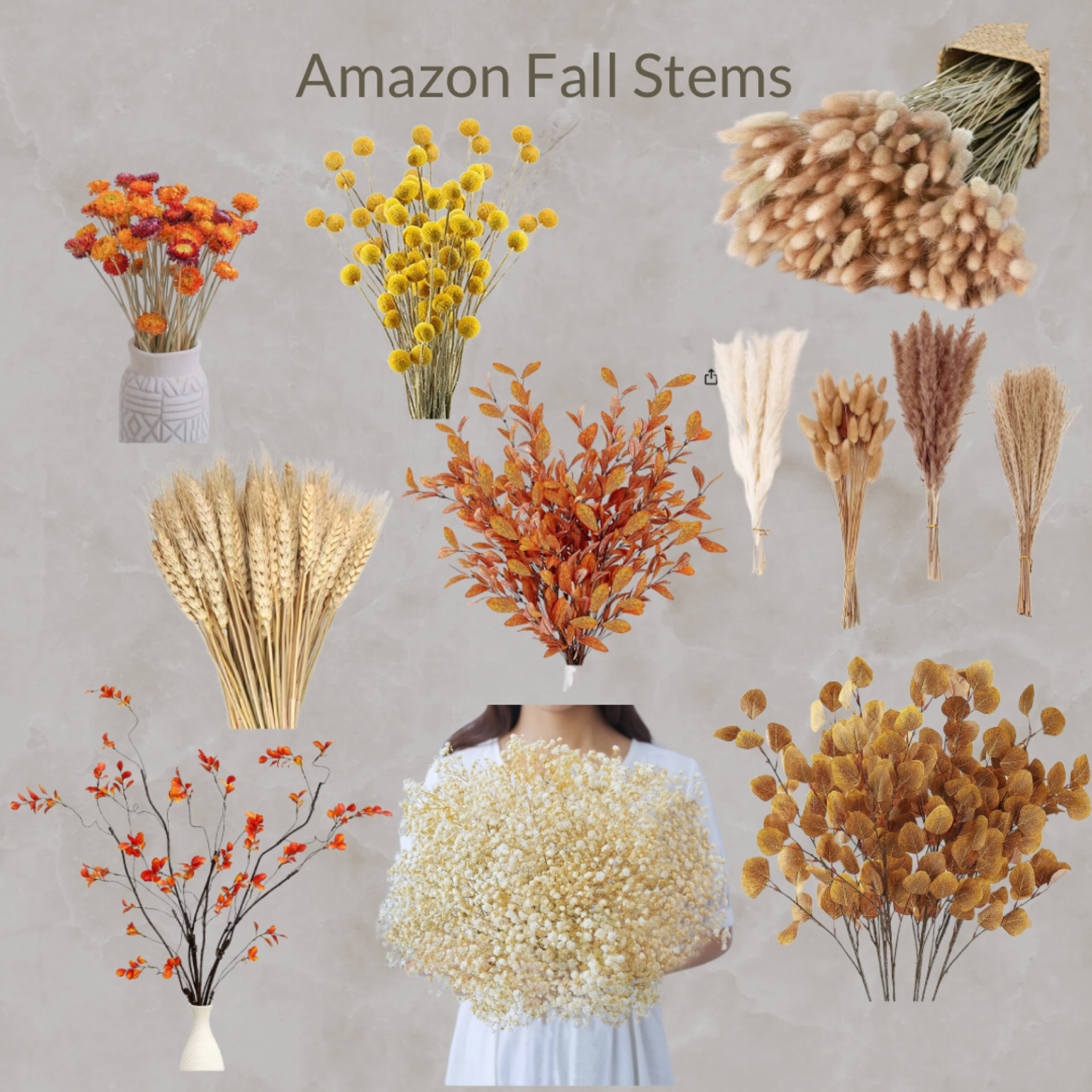 Amazon Fall Decor Fall Stem

#LTKFind #LTKSeasonal #LTKhome