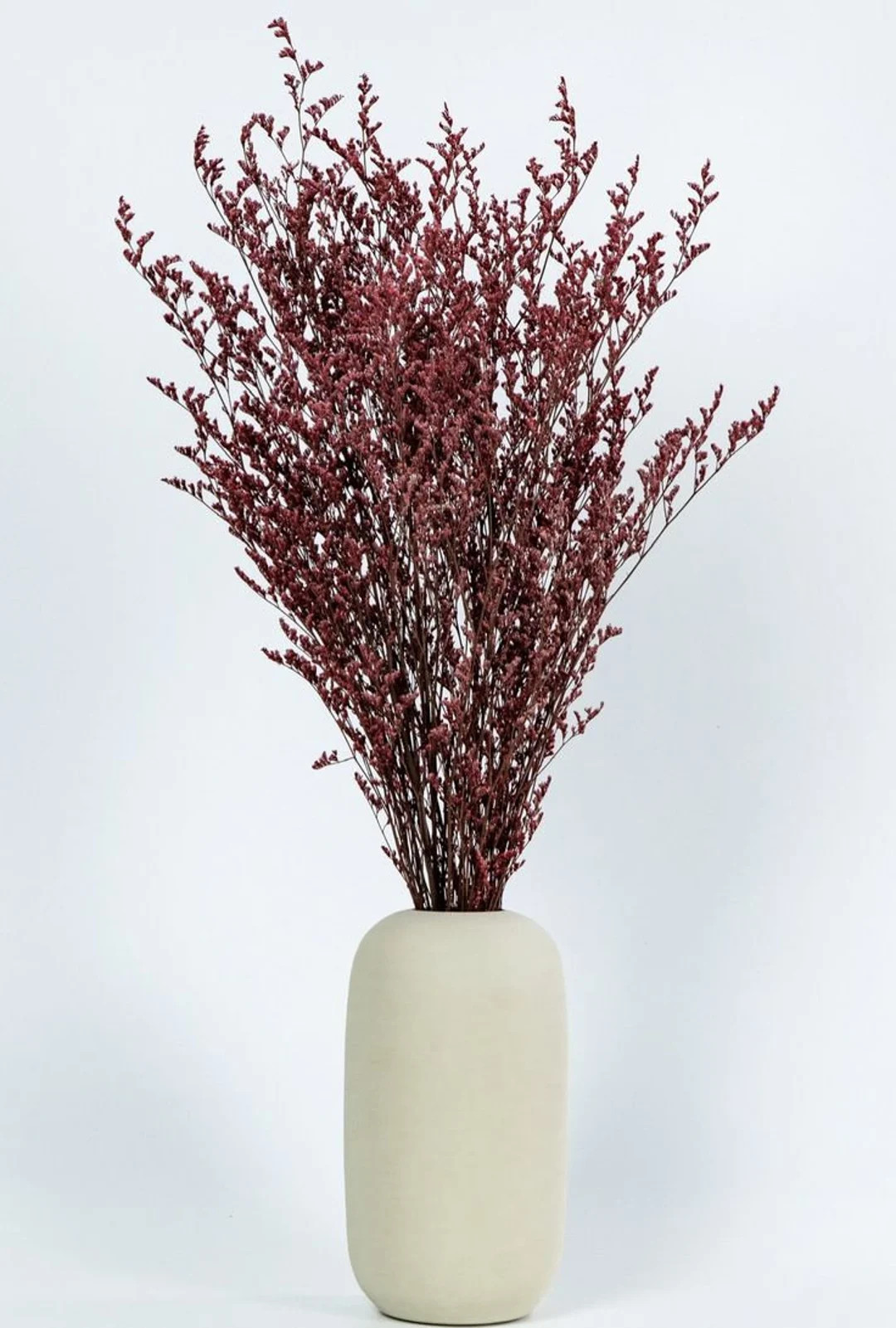 Red Preserved Caspia Limonium Lovergrass Real Preserved - Etsy | Etsy (US)