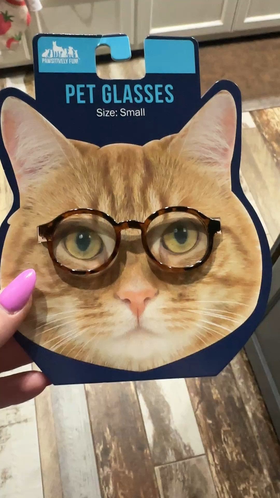 It was a need really. Five below finds 🫢🤓🐈

#LTKstorytime #LTKdayinmylife #LTKvlog