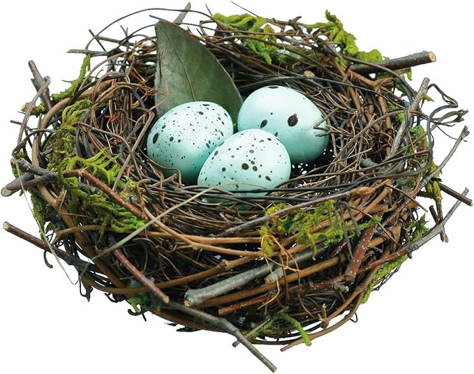 FIR 4.5 Inch Mossy Birds Nest with Blue/Green Eggs - Faux Eggs with Natural Twigs - Spring and Ea... | Amazon (US)