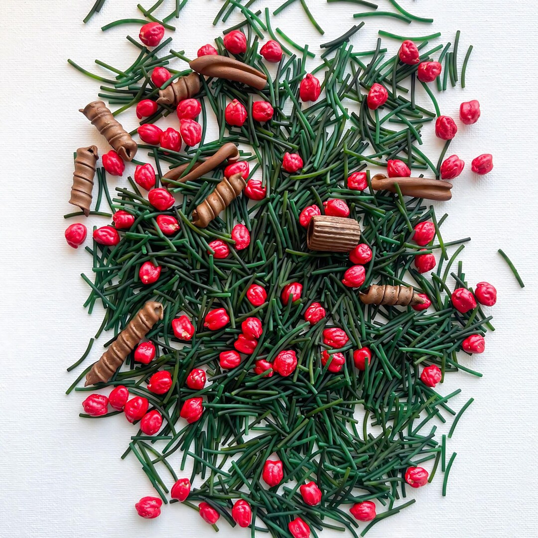 Evergreen Forest Sensory Mix – Holiday Sensory Play with Red Berries & Branches – Winter-Them... | Etsy (US)