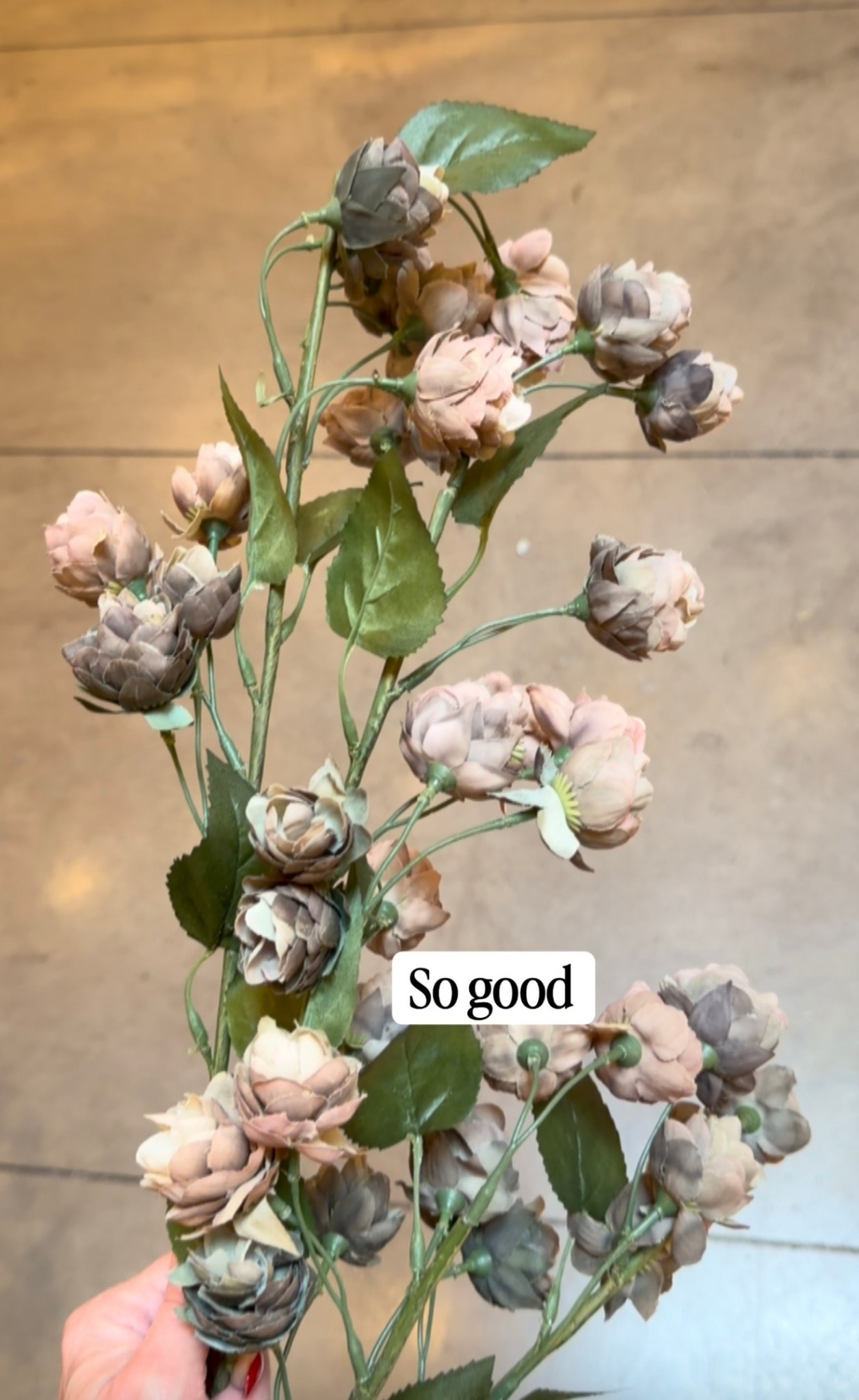 These are seriously the prettiest stems I’ve ever seen. They are a bit pricey, but I’ve never seen any like them, spring floral stems Crate & Barrel.

#LTKHome #LTKSaleAlert