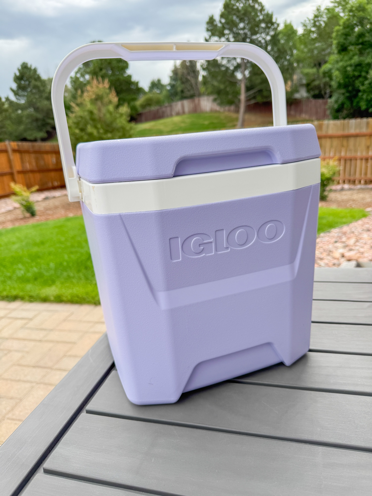 Found this cute little cooler at target this week on sale for 13.99 with target circle 💜

#LTKTravel #LTKSaleAlert #LTKFamily