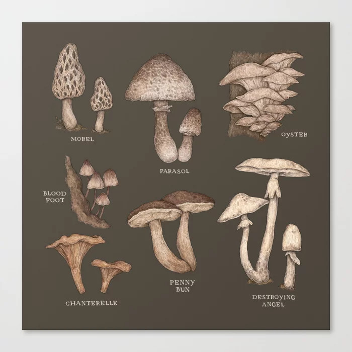 Mushrooms Canvas Print | Society6