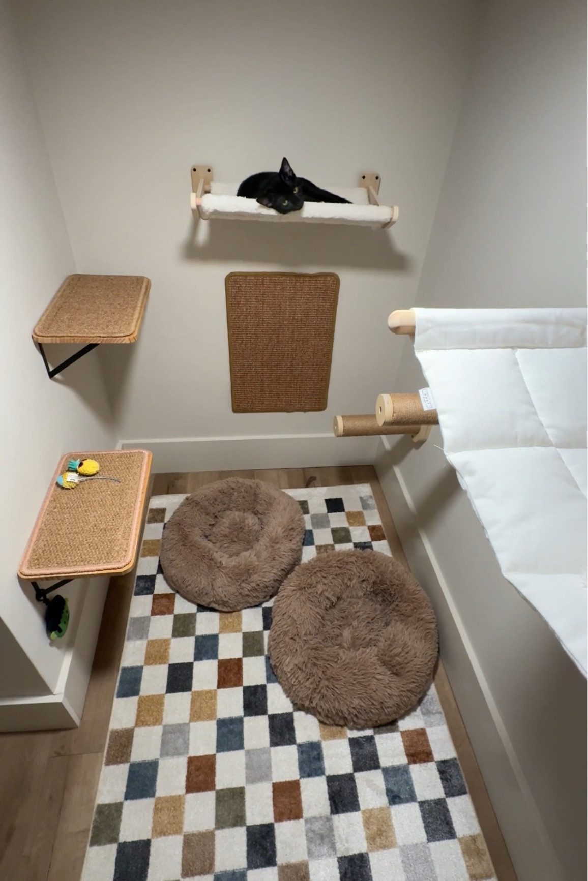 Luxe Cat Apartment  | home decor | home accents | home accessories | furniture | living room decor | dining room decor | bedroom decor | nursery decor | kids room decor | family room decor | entryway decor | foyer decor | hallway decor | kitchen | pantry | closet | sitting room decor | home office decor | furniture | #LTKfamily #LTKhome #LTKsalealert #LTKstyletip #LTKunder100 #LTKunder50  #liketkit @liketoknow.it 

#LTKPets #LTKHome #LTKOver40