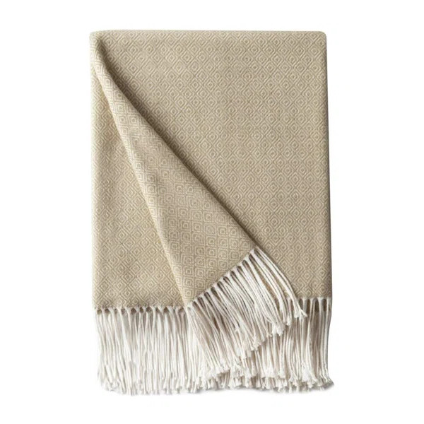 Lightweight Soft Cozy Throw | Wayfair Professional