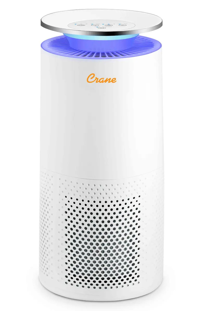 Crane Air True HEPA Air Purifier | Nordstrom | Nordstrom
