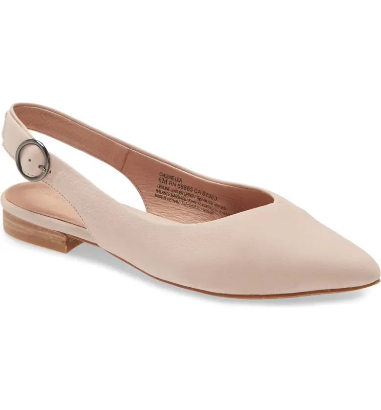 Lexie Pointed Toe Slingback Flat | Nordstrom