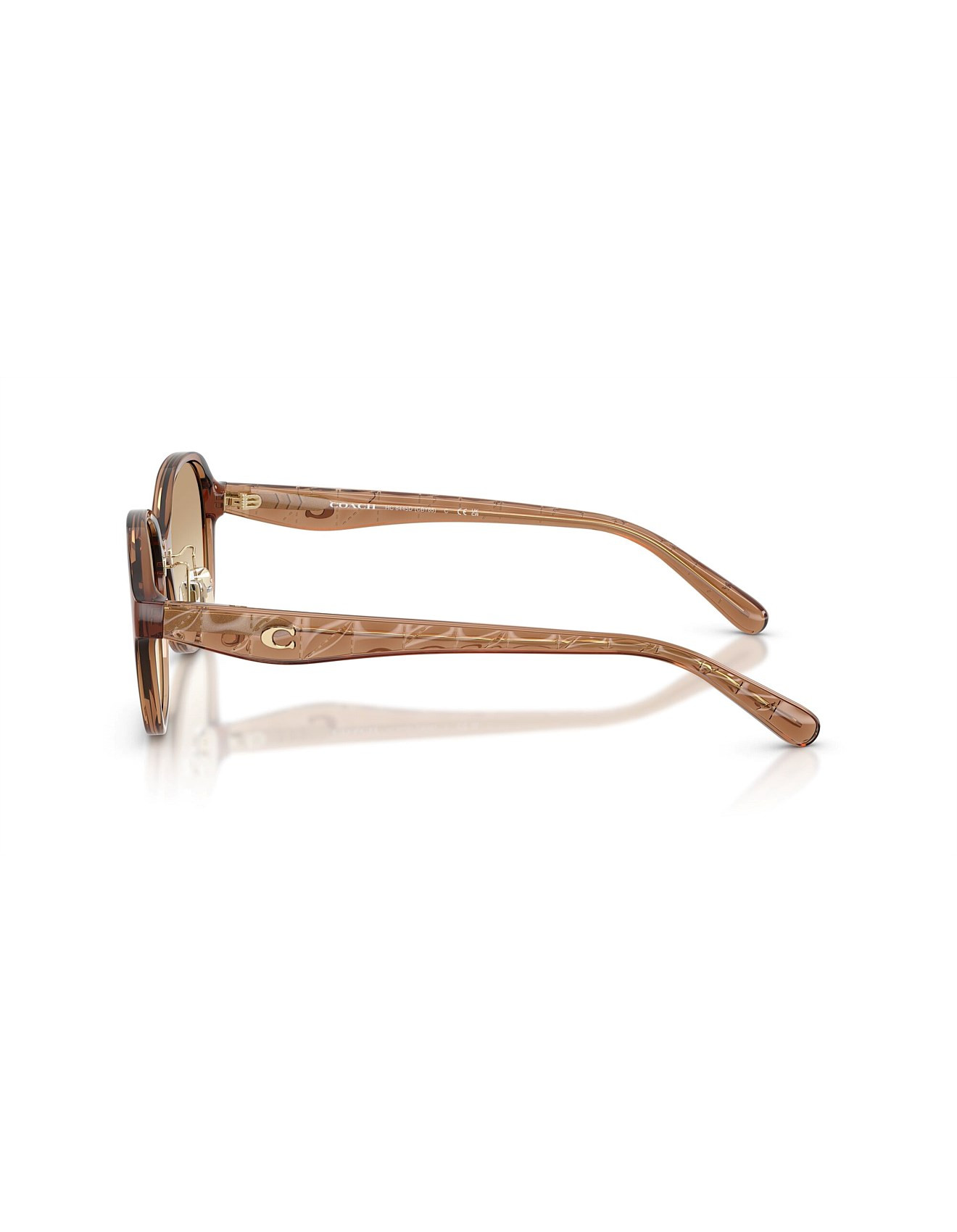CBY85 Round TRANSPARENT BROWN CLEAR BROWN GRADIENT | David Jones (Australia & New Zealand)