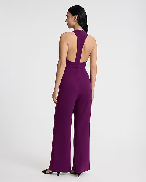 Crepe Crew Neck Sleeveless T-back Wide Leg Jumpsuit | Express