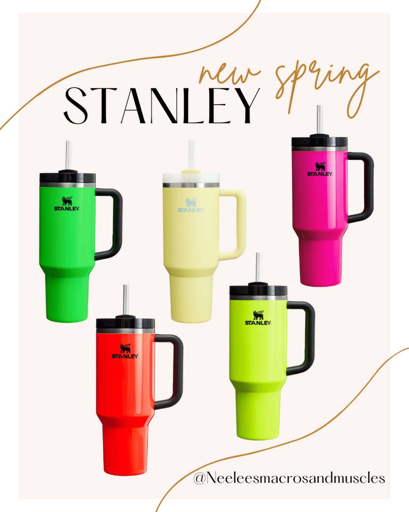 💐New Spring Stanley Colors💐

#LTKfitness #LTKSeasonal #LTKfindsunder50