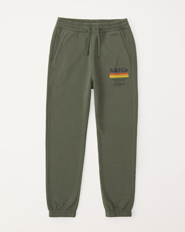 print logo joggers | Abercrombie & Fitch (US)
