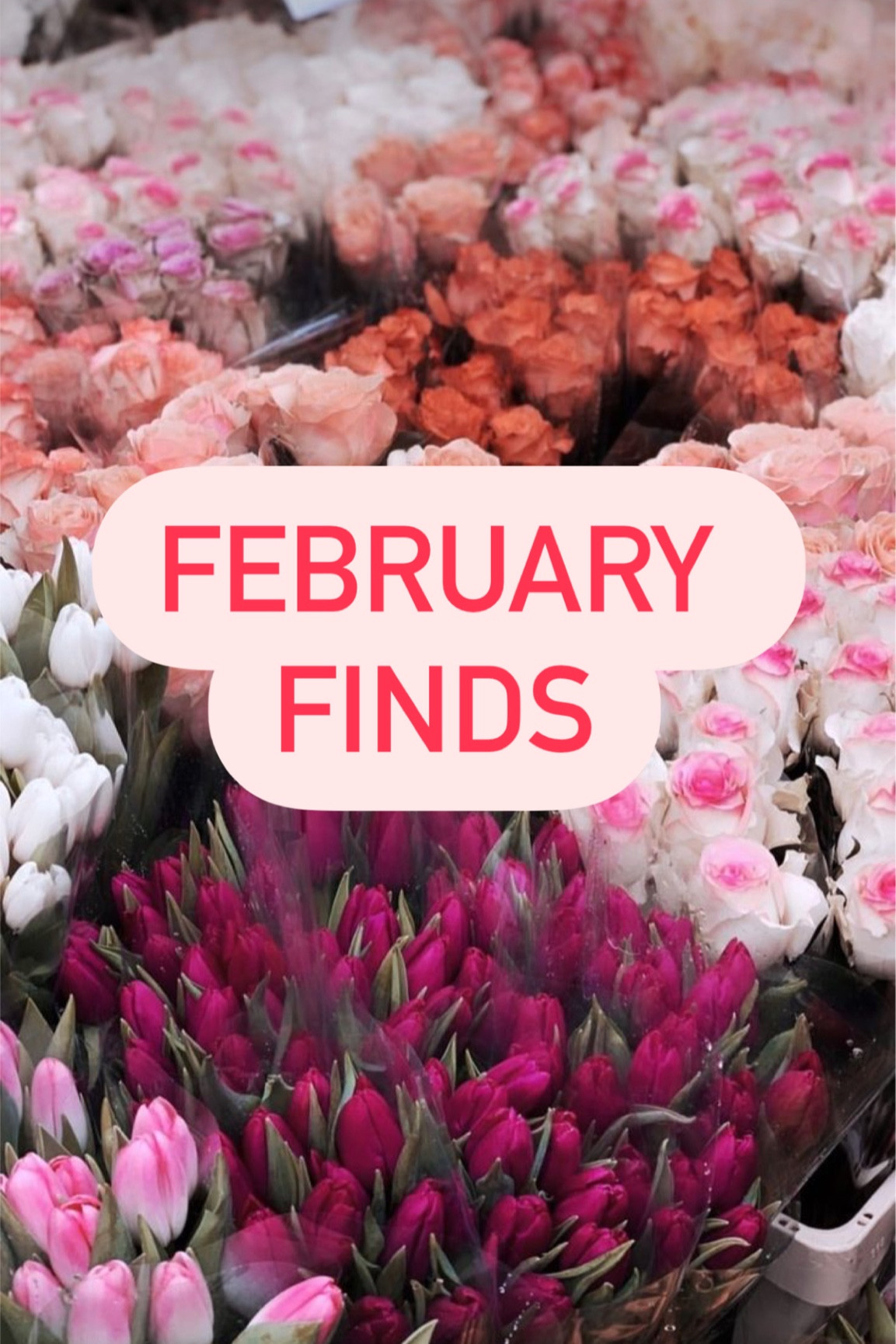 Shop latest finds 

#LTKSpringSale #LTKfindsunder100 #LTKGiftGuide