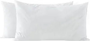 basic home 12x20 Pillow Inserts-Shredded Memory Foam Fill-High Density Throw Pillow Inserts with ... | Amazon (US)