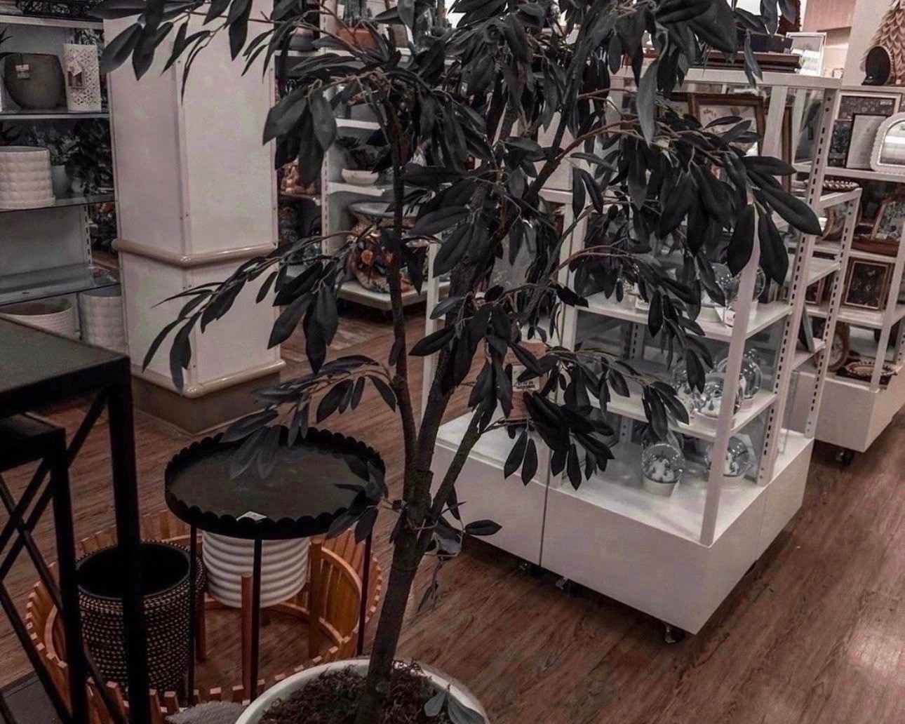 Found the perfect "forever" greenery! 🌿 This olive tree adds that high-end designer look without the maintenance. Perfect for filling that empty corner in your living room or entryway.

#LTKHome

#LTKSaleAlert