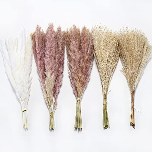 105Pcs▕17.72" Dried White Pampas Grass 15 Pcs▕Brown Dried Flower 30 Pcs▕60 Pcs Natural Drie... | Amazon (US)
