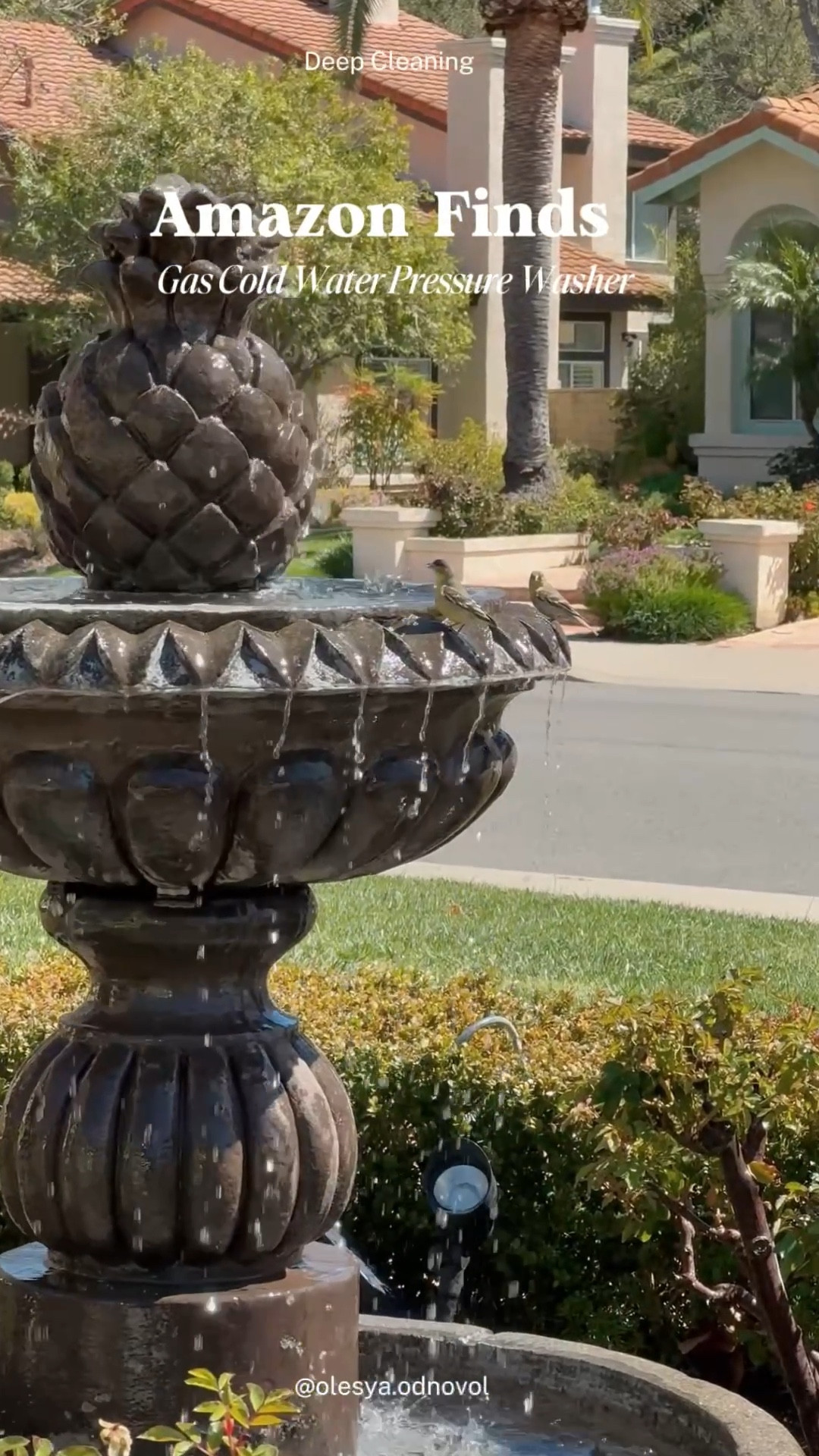 Just did a deep clean of our outdoor fountain with the DEWALT 3300 PSI Gas Pressure Washer, and WOW—it looks brand new! Years of dirt and algae? Gone in minutes. Super powerful, easy to use, and lightweight enough to move around. Used the 15° nozzle, and it cut through grime like magic.

And the best part? The birds came back within an hour—guess they were waiting for me to clean up!

If you’ve been putting off cleaning your patio, outdoor furniture, or house siding, this pressure washer is 100% worth it. Linked it here! 

Who else loves a good pressure-washing transformation?!

#LTKWatchNow #LTKHome #LTKMens