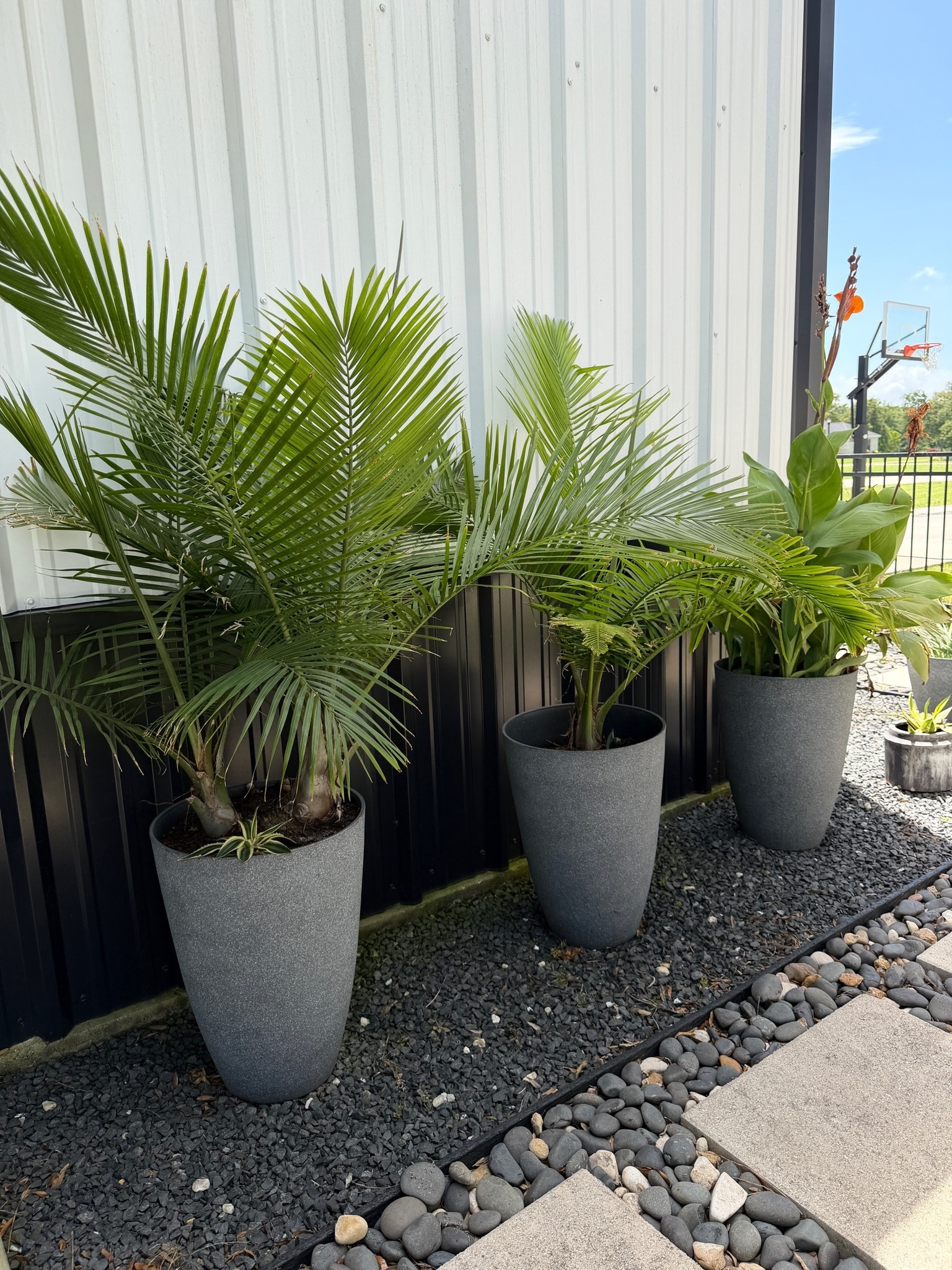 21 inch tall planters that are going on eight years!!! these are an incredible deal for how durable and long lasting they are and the size is huge.

#LTKmomlife #LTKdayinmylife #LTKHome
