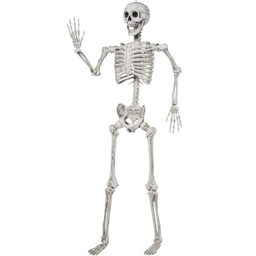 JOYIN 5.6 FT Halloween Posable Life Size Skeleton Full Body Realistic Bones with Movable Joints for Halloween Indoor and Outdoor Decoration Props Spooky Scene Party Decorations (White) | Amazon (US)