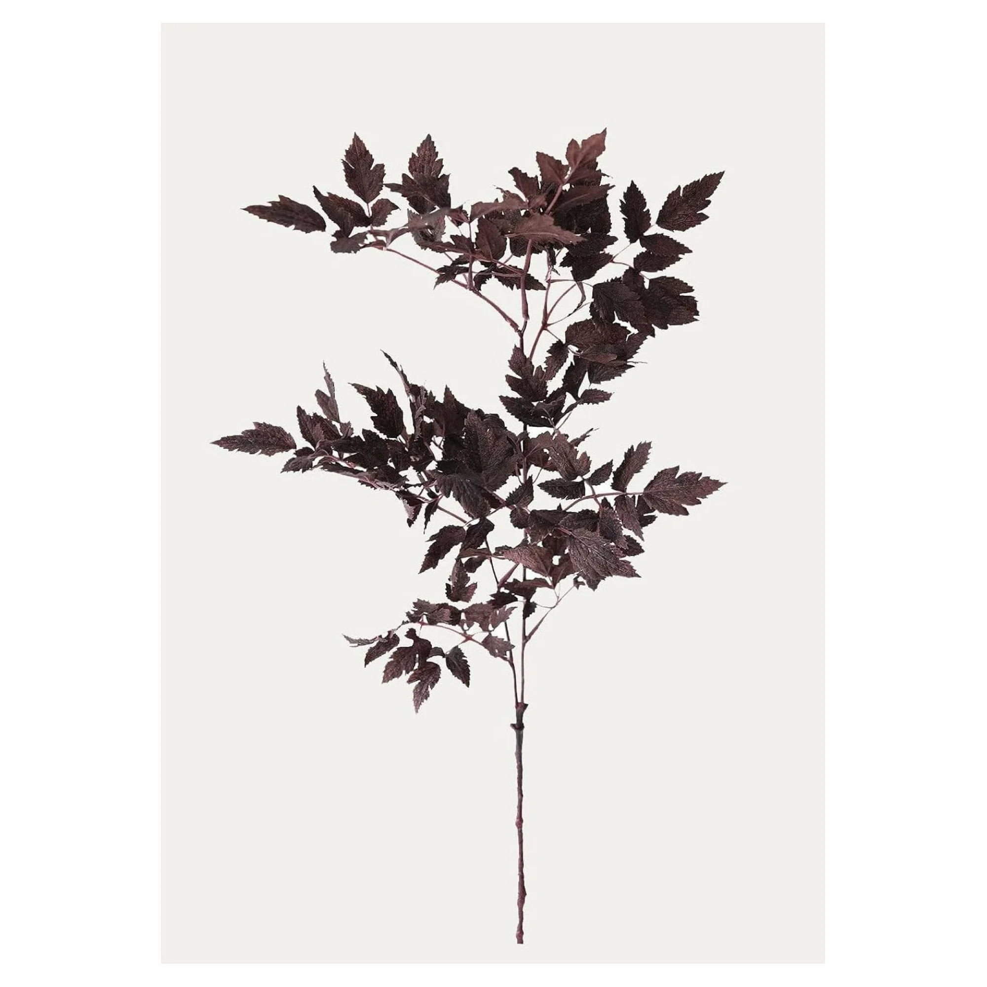 Plum Cimicifuga Ramosa Artificial Leaves - 31" Fall Foliage - Lacy Hillside Black Beauty Stems fo... | Walmart (US)