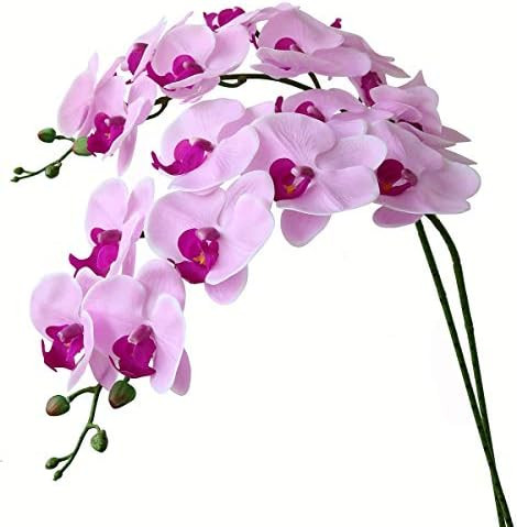 Htmeing 38 Inch Artificial Phalaenopsis Flowers Branches Real Touch (Not Silk) Orchids Flowers fo... | Amazon (US)