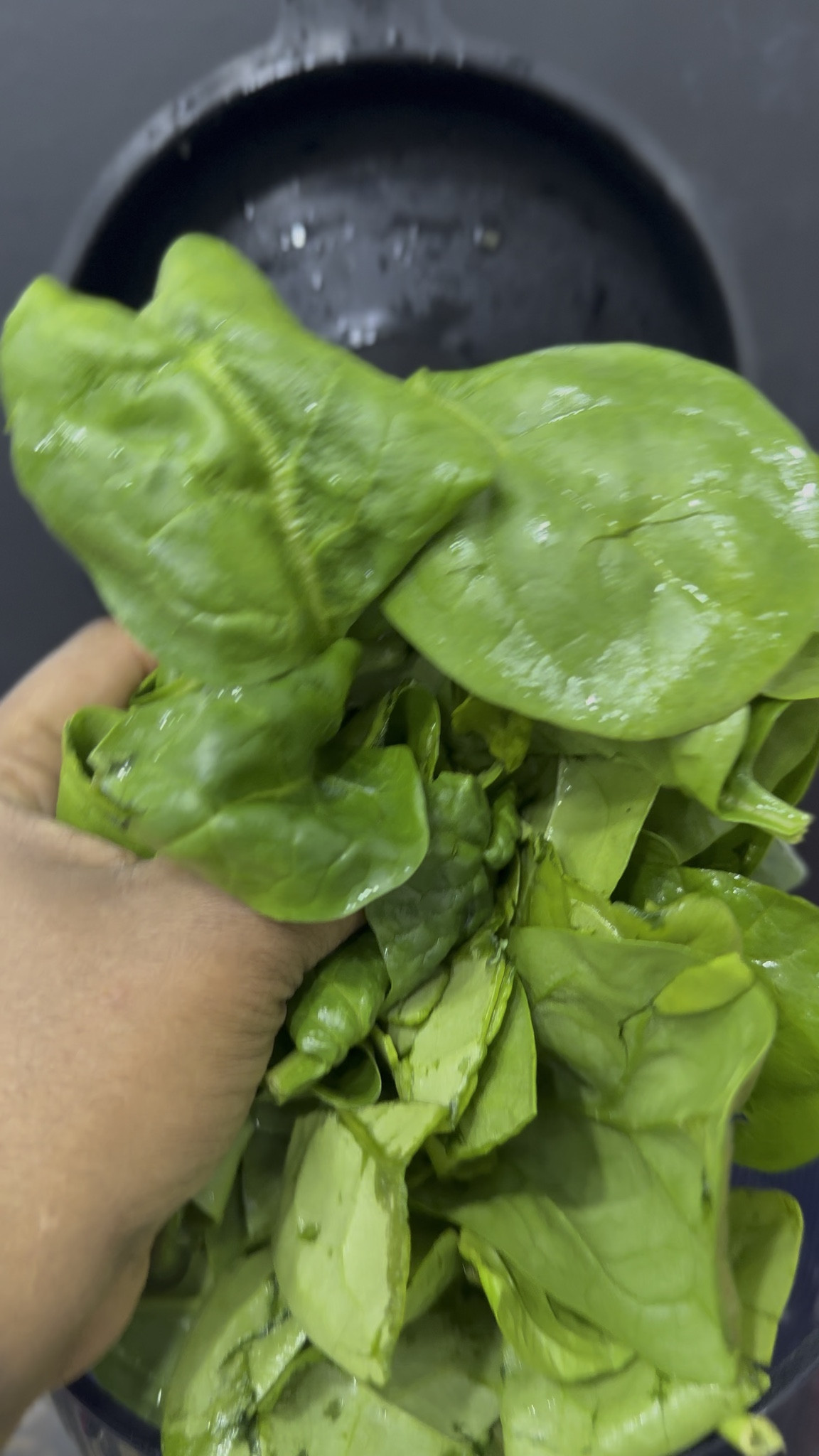 If you want to drink fresh juice daily, you NEED a good juicer.

This is one of the best investments you can make for your health. Batch your juices for the week, stay hydrated, and get all those amazing nutrients in your body.

Trust me, once you start juicing regularly you will never go back.

#Juicer #JuicingLife #HealthyRoutine #JuiceCleanse #ColdPressedJuicer #HealthyLiving #DailyJuicing #ShoppingWithPriiincesss #Atlantamom #Atlantabloggers #Atlantablogger #AtlantaCreator #Atlantacontentcreators #Atlantacontentcreator