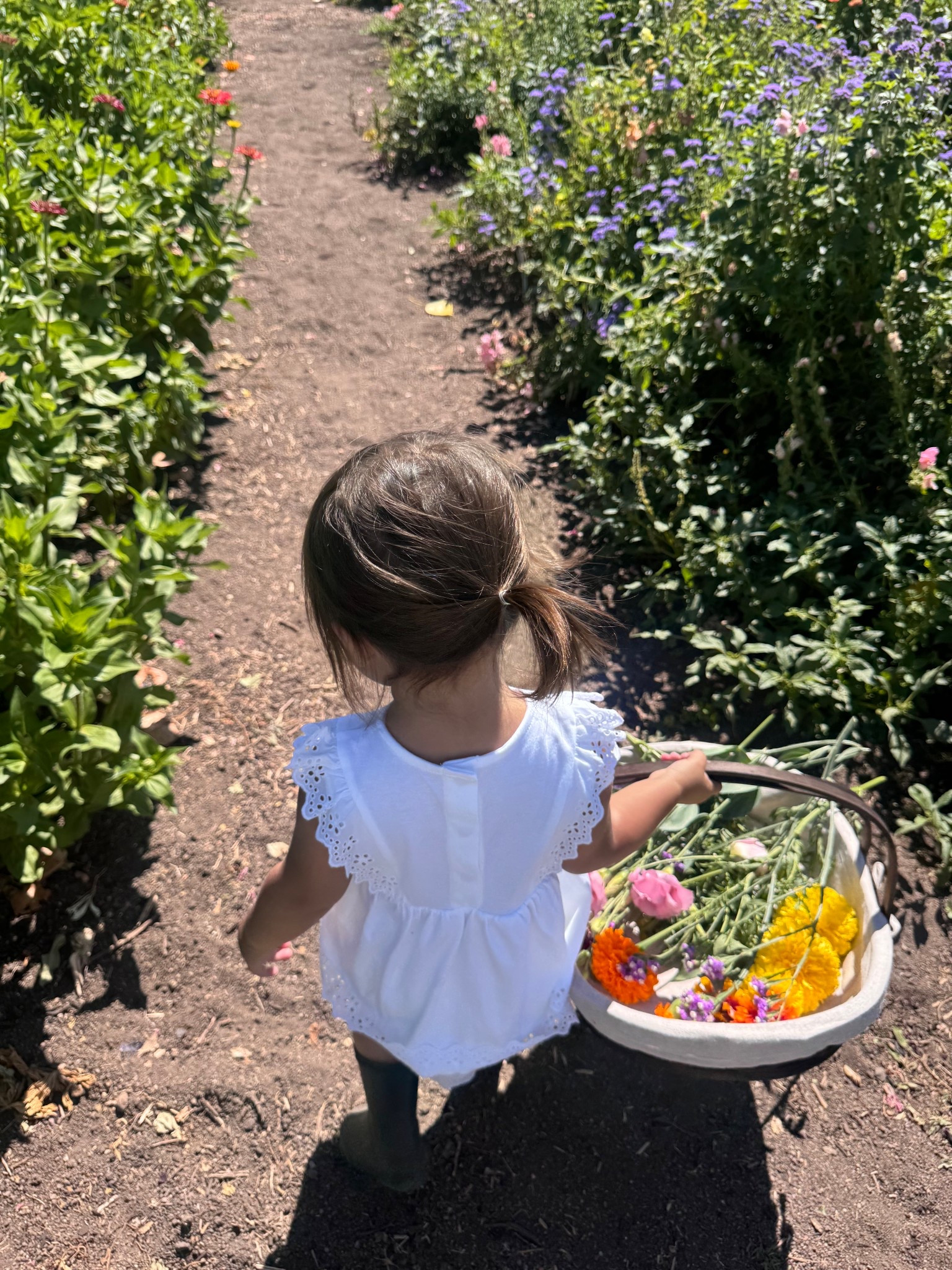 Toddler, basket, flower, farm, boots, hunter, Sofia Grainge, Amazon, 

#LTKBaby #LTKSeasonal #LTKFamily