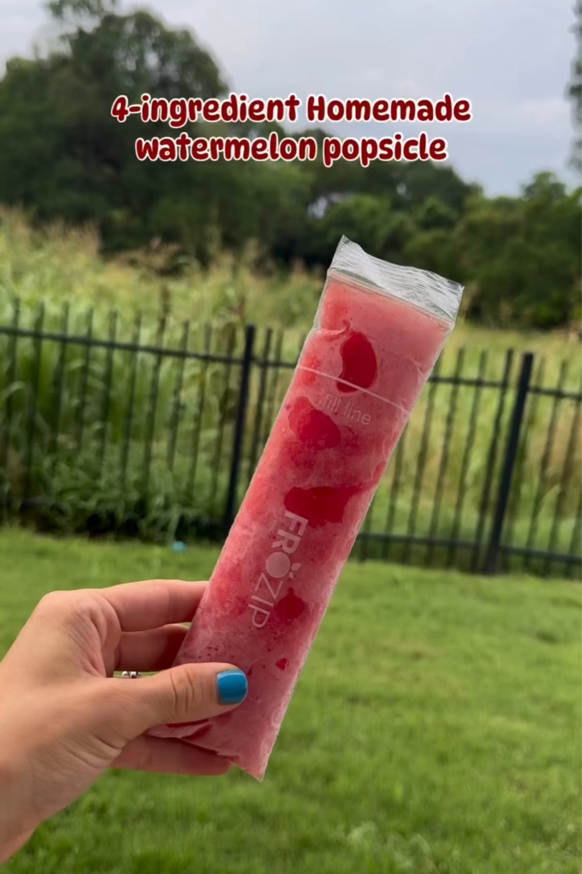 Homemade popsicles! 4 cups watermelon, 1 cup strawberries, 1 tbsp lime juice, 2 tbsp honey (blend all together in food processor)

#LTKSummerEdit #LTKFamily #LTKKids