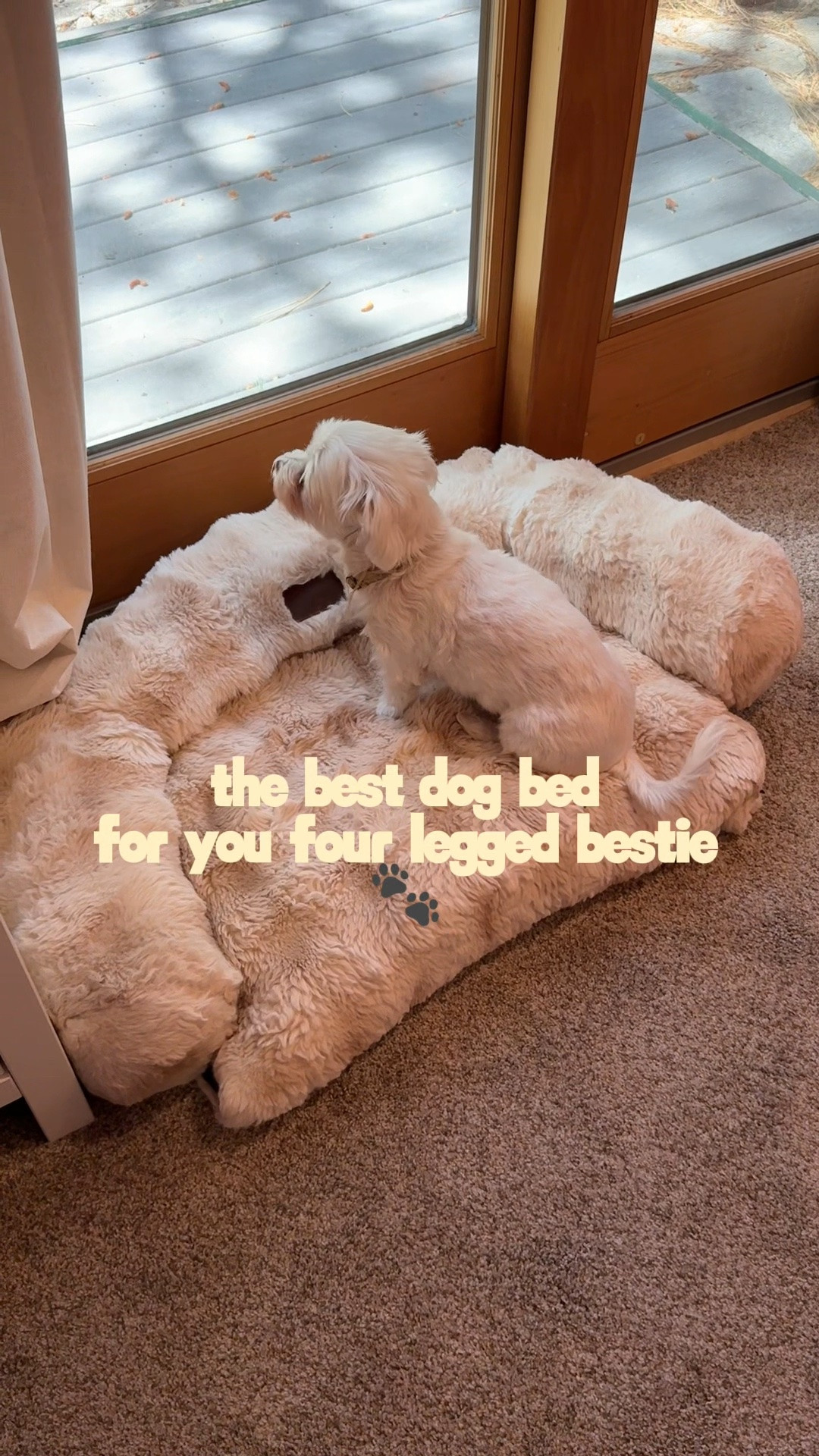 The coziest dog bed

#LTKHome #LTKSaleAlert