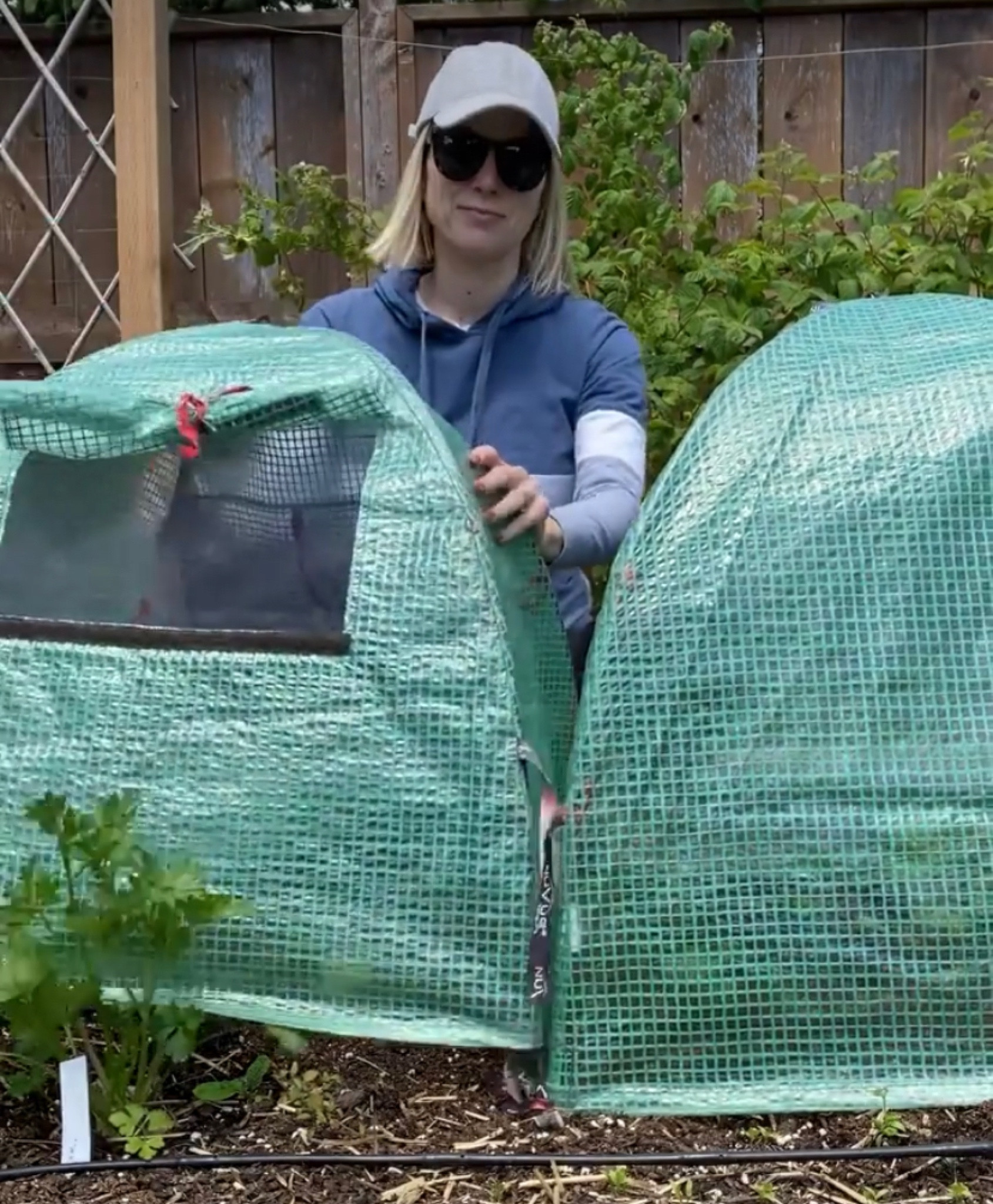 Mini Green House perfect for shoulder season growing. One of my must haves for the garden! 

I use these a lot for plant protection in Fall and Winter to increase heat for peppers and eggplant in the summer  

#LTKhome #LTKSeasonal