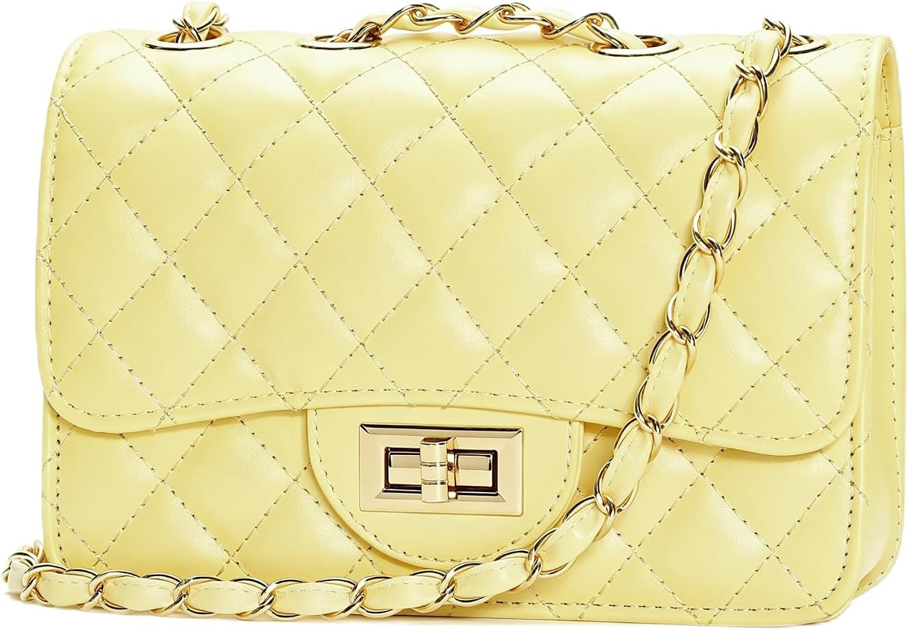 Small Quilted Crossbody Purse for Women Trendy Ladies Shoulder Bag PU Leather Satchel HandBag wit... | Amazon (US)
