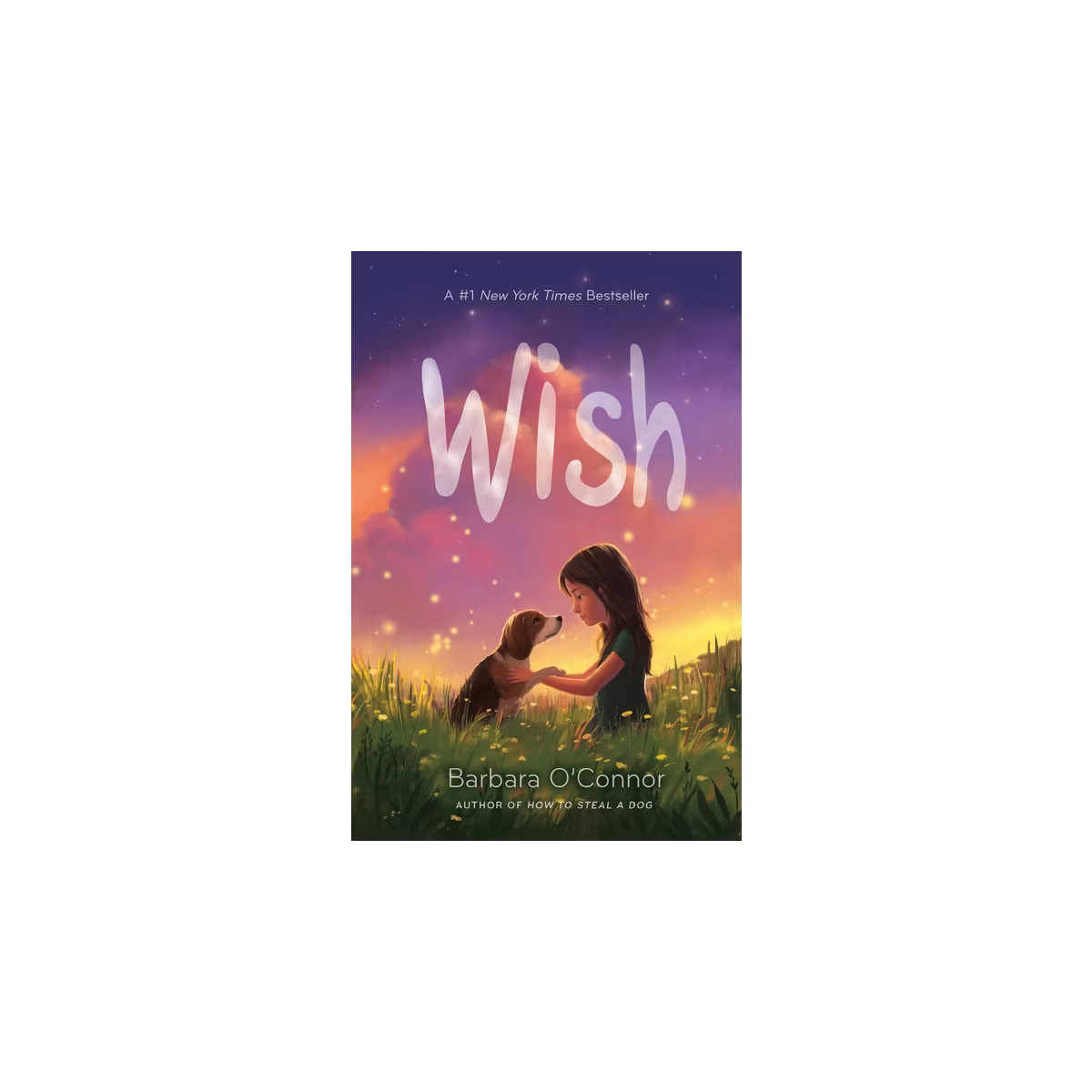 Wish - by  Barbara O'Connor (Hardcover) | Target