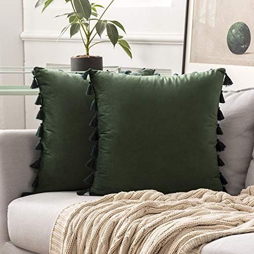MIULEE Pack of 2 Velvet Soft Solid Decorative Throw Pillow Cover with Tassels Fringe Boho Accent Cus | Amazon (US)