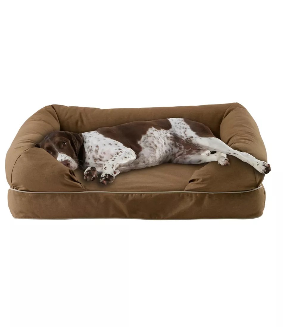 Therapeutic Dog Couch | L.L. Bean