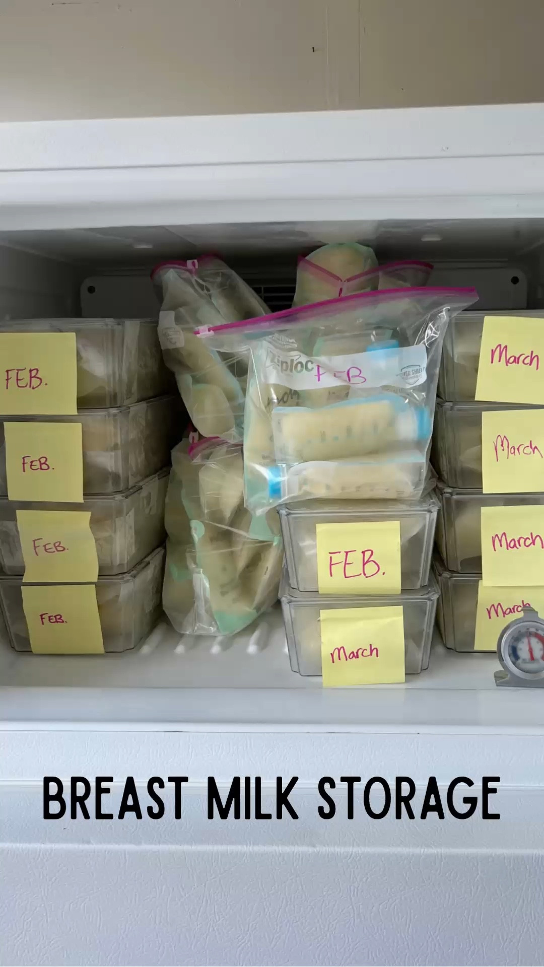 Freezer organization for my breast milk stash 🍼❄️ 

I’m officially out of storage containers, so it’s time to order more! 

Having a garage fridge/freezer has been a lifesaver for storing pumped milk and keeping everything organized by month. 

If you’re pumping or building a freezer stash, these containers make it so much easier to keep track of everything.

Linked my freezer organization containers + pumping essentials.

#LTKBaby #LTKmomlife #LTKHome