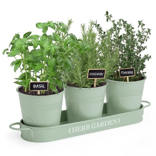 PERFNIQUE Indoor Herb Garden, Herb Planter for Indoor/Outdoor, Farmhouse Plant Pots, Windowsill Herb Garden with Tray(Planter only) Window Pots | Amazon (US)