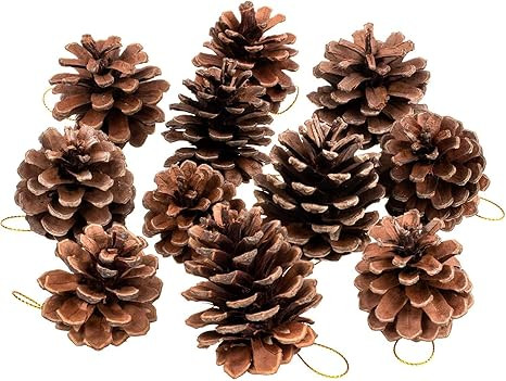 Amazon.com: Whaline 25 Pcs Christmas Natural Pine Cones, Rustic Pinecones Bulk Ornaments with Str... | Amazon (US)