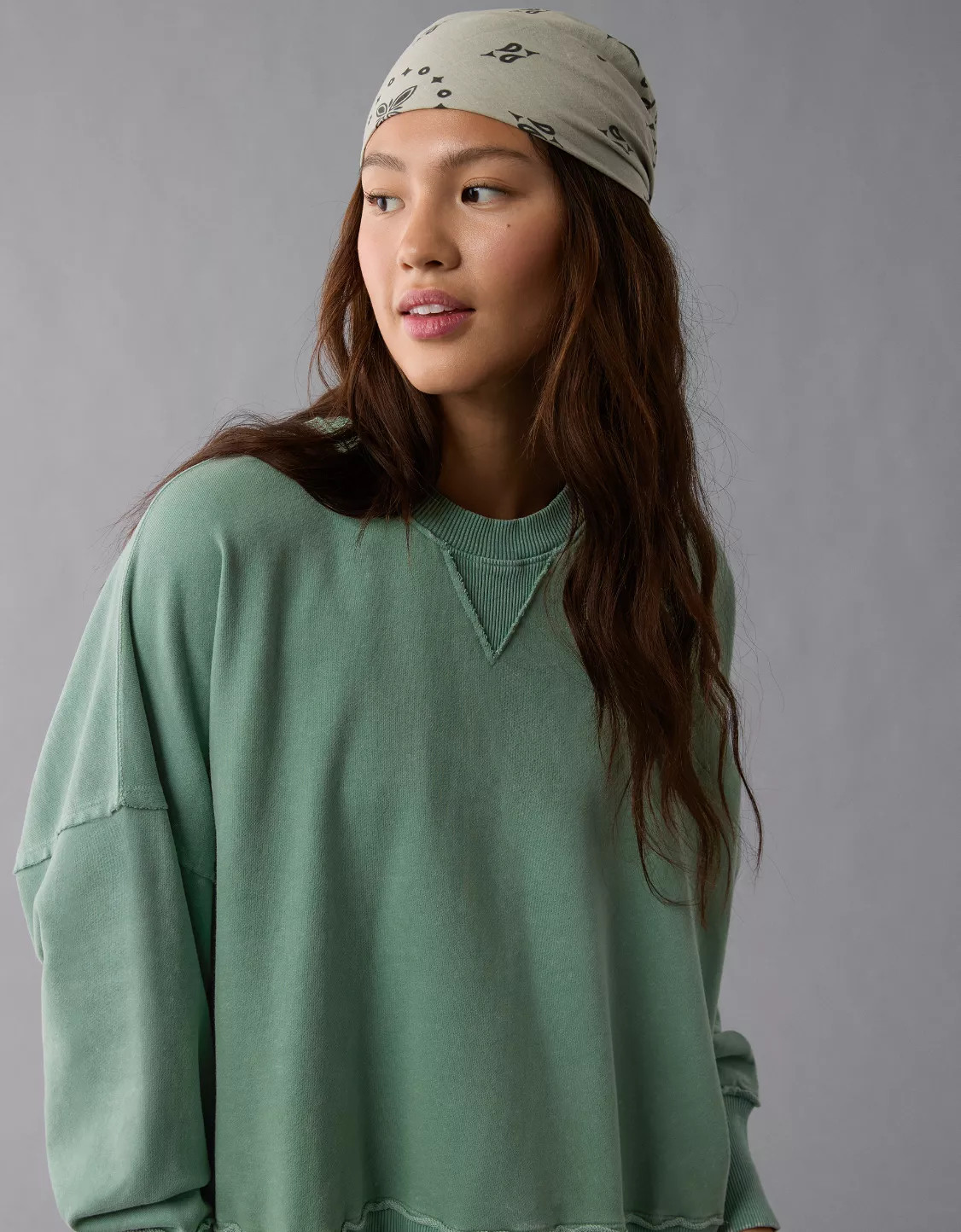 AE Big Hug Crew Neck Sweatshirt | American Eagle Outfitters (US & CA)