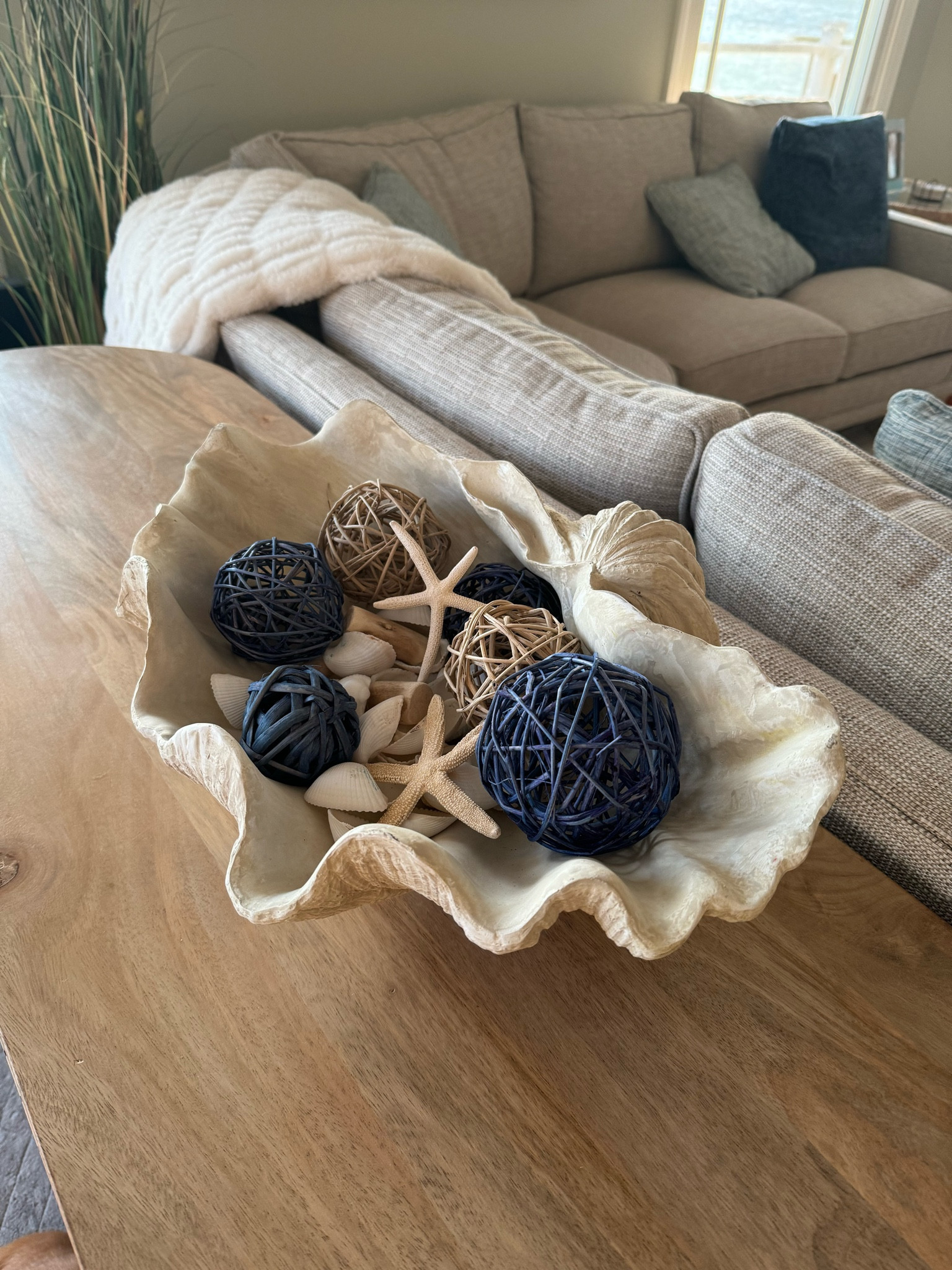 Shore house decor! 🐚

Beach house decor, decorative shells, beach vase filler, fake shells, beach decorations, nautical decor, modern nautical decorations, bowl filler, amazon home decor, shore house decorations, beach house decorations, home decor, home decorating, home decorations, beach house, shore house 

#LTKstyletip #LTKfindsunder50 #LTKhome