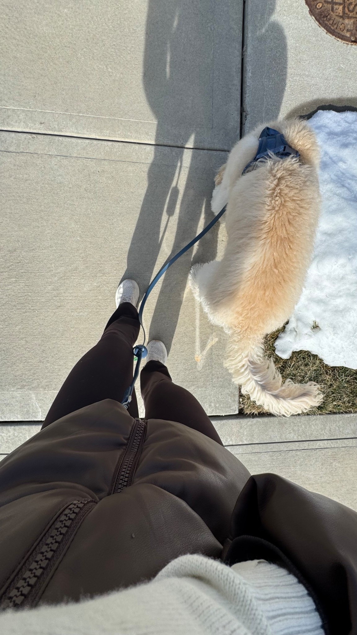 All the things I use for my (almost daily) dog walk! 
#lulu #wildone #hoka #apple

#LTKootd #LTKfitnessgoals