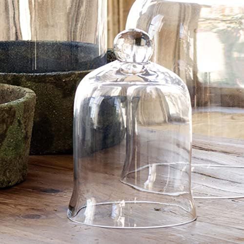Park Hill Collection ECL82067 Glass Cloche Bell Jar - Plant Terrarium , Centerpiece Dome Display ... | Amazon (US)