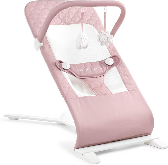 Baby Delight Alpine Deluxe Portable Bouncer, Organic Rose | Amazon (US)