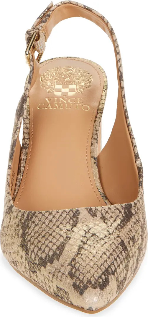 Hamden Pointed Toe Slingback Pump (Women) | Nordstrom