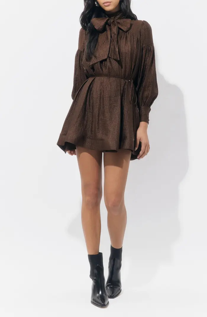Daphne Metallic Long Sleeve Minidress | Nordstrom